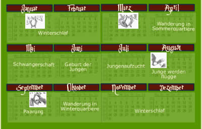 Kalender